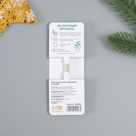 Growing gift pencils Mini "Pine"-2