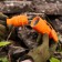 Direct moisture -proof plug, c/s, 16 a, ip44, orange rubber rexant
