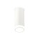 Ambrella Light Acrylic lamp, XS7442012, MR16 GU5.3 LED 10 watts, white sand, white matte