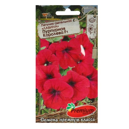 Petunia flowers ampelous "avalanche purple queen" F1-2