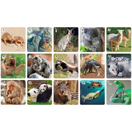 Board games. Mi-mi-memo "exotic animals" 30 cards-3