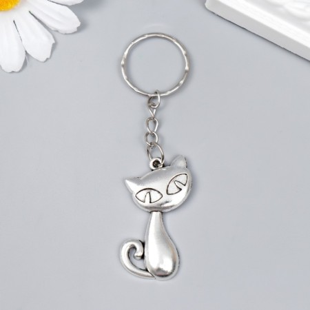 Trick Metal "A cat with slanting eyes" silver 4x2 cm