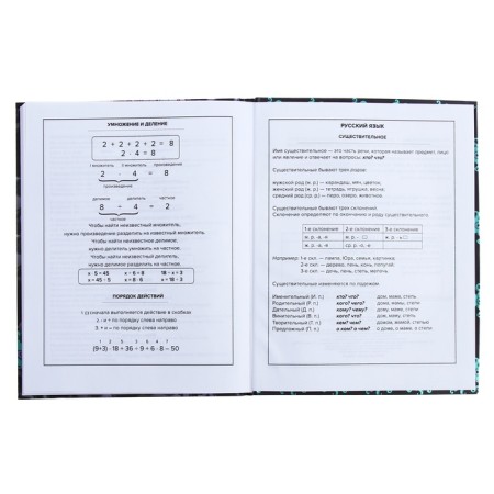 Universal Diary Grade 1-11, 48 sheets "Monster Call", integral cover, matte lamination, selective UV-fluid, congructor-11