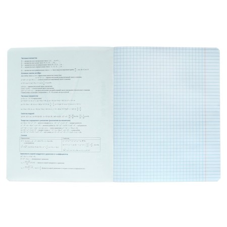 Notebook subject “phrases with character”, 48 sheets in the “algebra” cage, covered cardboard, selective twin-lak, UV-lak, block offset-2