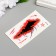Tattoo on the body color "Wound Spider" 10.5x6 cm