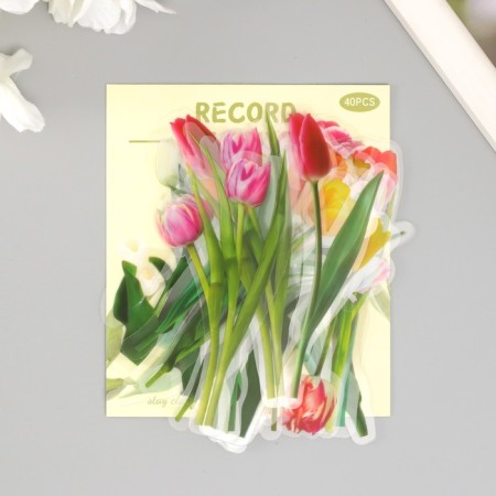 Stickers for creativity PLC PVC "Tulips" set 40 pcs 9x10.5 cm-4