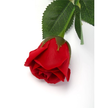 Soap rose of burgundy in a box-5