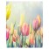 Pillow Golk "Spring tulips, decorative, size 16x45 cm