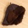 Bath cap of sheepskin "Tymak"