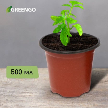 Pot for seedlings, 500 ml, d = 10 cm, h = 8 cm, terracotta, Greengo