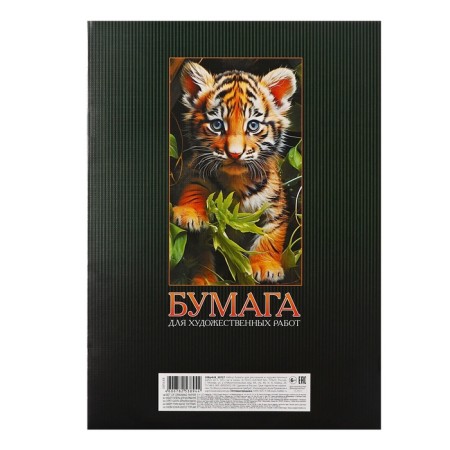 A4 drawing folder, 20 sheets 120 g/m² Hatber "Tigeronok", embossing-5