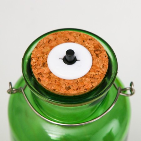 Night "Ande" LED from the batteries green 8x8x16.5 cm Risalux-6
