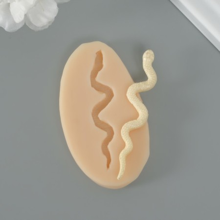 Mold Silicon "Snake" 0.3x6.5x1.3 cm