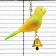 Toy for birds "Bird" with a bell, 11.9 x 3.4 x 12.5 cm, yellow