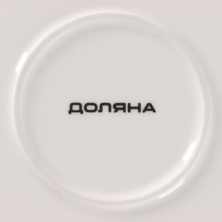 Porcelain dinner lunch shade "Milky Way", D = 25 cm, turquoise color-4