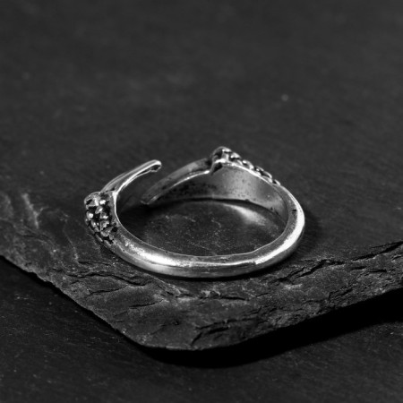 Ring "Right" claws, color black silver, dimensionless-2