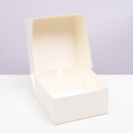 Box under the gentor, white, 20.5 x 20.5 x 10 cm-1
