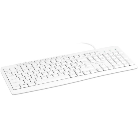 Keyboard Rick 305m White USB Multimedia (1875227)-5