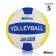 Volleyball ball Minsa SM 013, PVC, machine stitching, 18 panels, p. 5