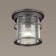 Street ceiling lamp Virta, 1x60W, E27, IP44, black color