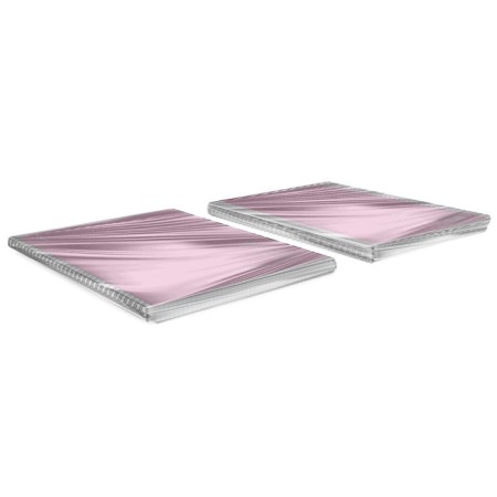 A4 notebook 80 sheets, a cage on a spiral, erichkrause, "silhouette" plastic cover pink-5