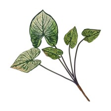 Anturium is artificial, height 38 cm, green color