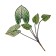 Anturium is artificial, height 38 cm, green color