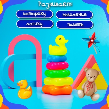 Pyramid "Duck", 5 rings-3