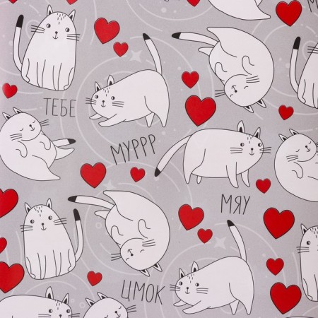 Paper packing gloss double -sided "cats", 70 x 100 cm-1