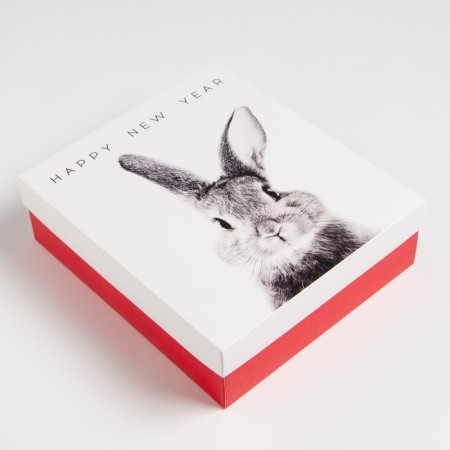 New Year's Gift Set "Bunny", mittens of p. 19 and accessories-5