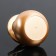 Assessoir on a panel with a flavor, gravitational rings, rotates from the sun, planet, gold