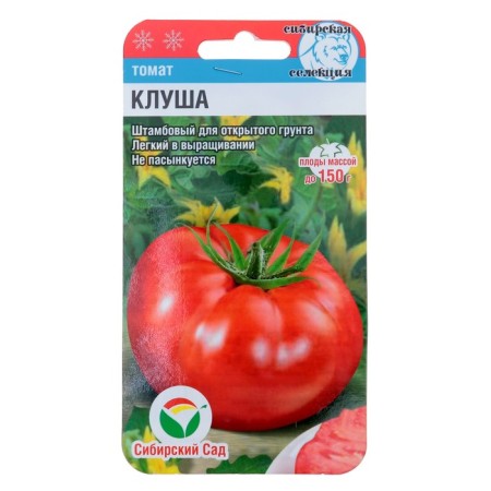 Seed Tomat "Klisha", Middle Erand, 20 pcs