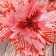 Decor "Cold Flower" 24x20 cm, pink