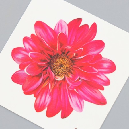 Tattoo on the body color "Chrysanthemum" 6x6 cm-2