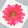 Tattoo on the body color "Chrysanthemum" 6x6 cm