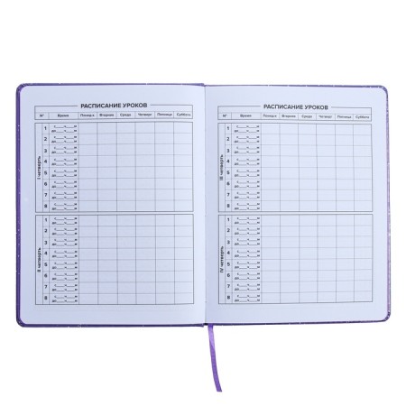Universal Diary Grade 1-11, 48 sheets "Girl on the Moon", solid cover of artificial leather, applique, liesa, OFSET block-9