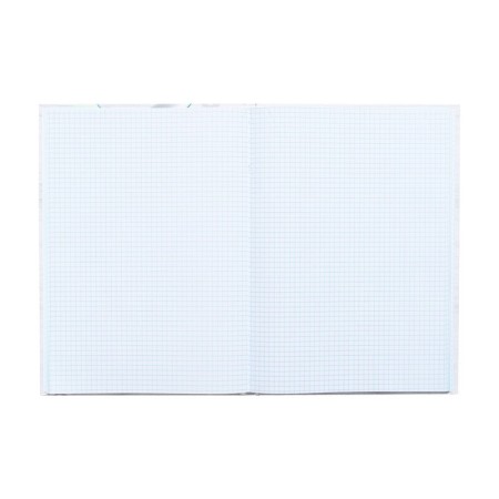 College-wiper in a solid cover 7BC, A4, 80 sheets, headphones, a cage block, matte lamination, selective varnish-3