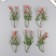 Artificial plant for creativity "Hippeastium" set of 6 pcs pink 11 cm