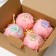 Gift set of cosmetics "Flower Garden", bathtub bombs, 4 x 130 g, Beauty Fooch