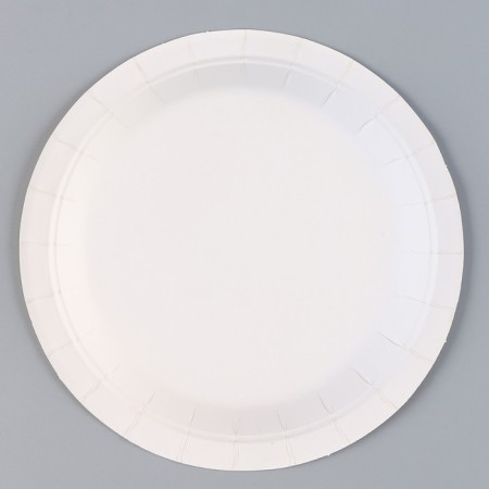 Paperial plate "Beasts", in a set of 6 pcs.-2