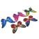 STETER "VERDI butterfly" 20x14cm/45cm, mix