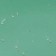 Enamel PF-115 is briefly painted green 2.7kg
