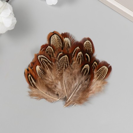 Decorative pheasant feather "Rice. Brown" set 20 pcs h = 5-7 cm