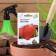 Sweet pepper seeds "Swallow", early -ripened, 0.1 g series Hit X3