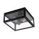 Street ceiling lamp Arte Lamp Belfast A4569PF-2BK, E27, 2x60 W, 29x29x13 cm, black