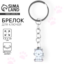 A keychain for children, metal 