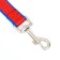 Leash 7 m x 2 cm, blue-red