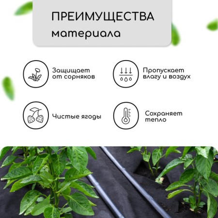 Mulching material, 10 × 0.8 m, density 80 g/m², spanbond with UV stabilizer, black, Greengo, economy 30%-1