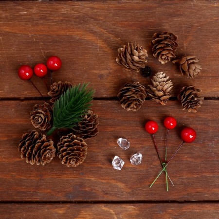 Set of New Year's decor "Bumps and berries"-1