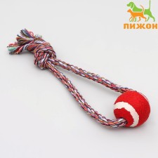 Two toy 
